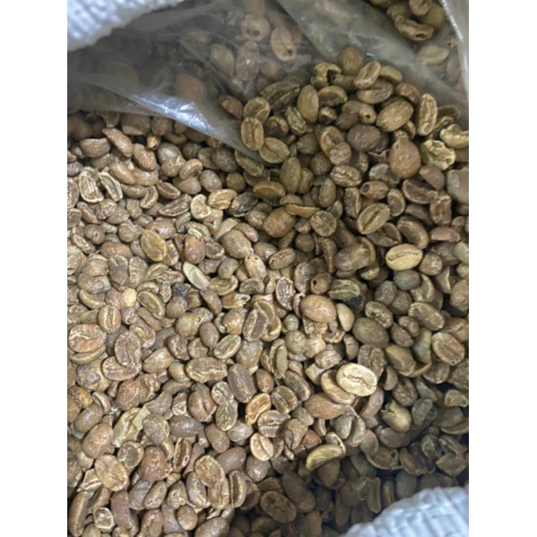 

Kopi arabika corp 2019