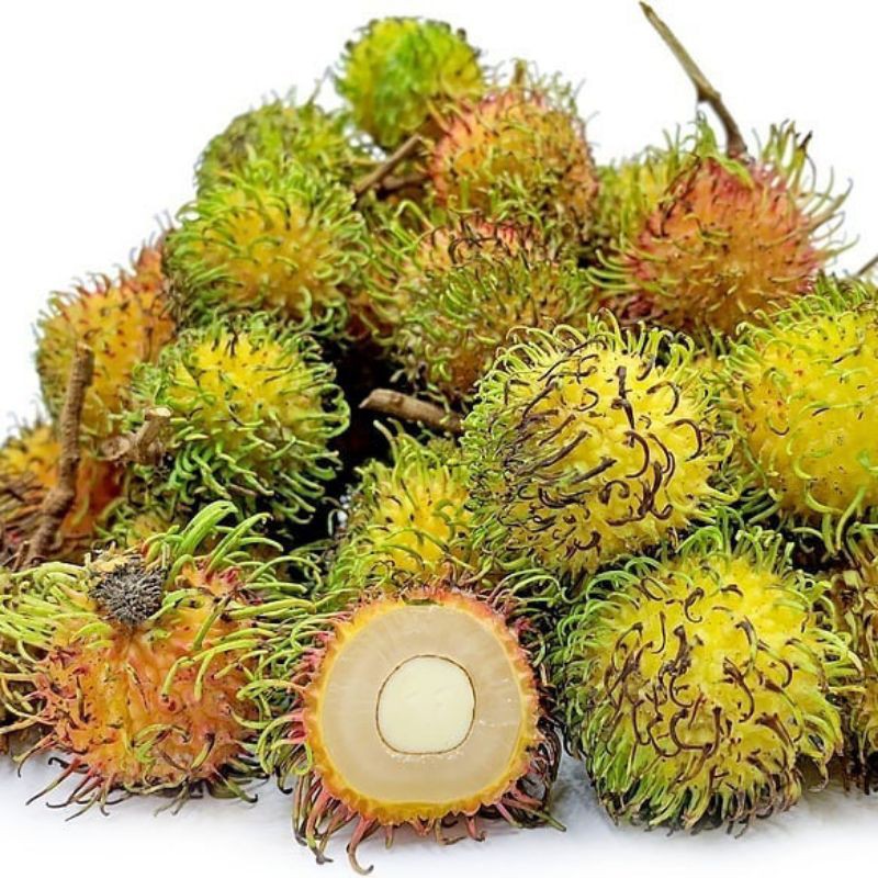 

Buah rambutan rapiah segar baru petik organik 1 ikat panjang