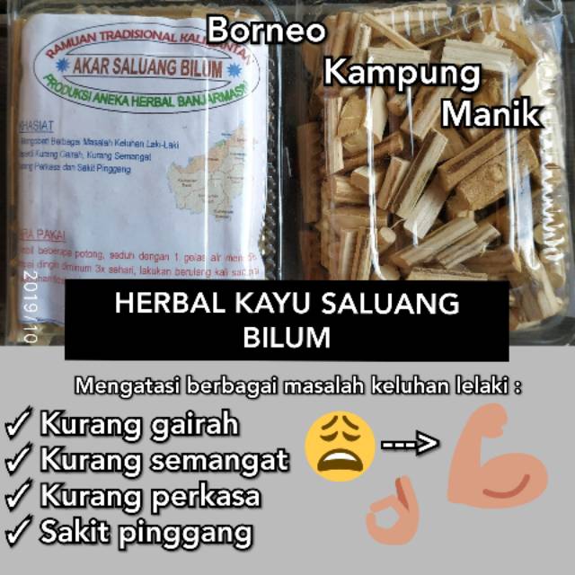 

Herbal Kayu Saluang Bilum Kalimantan - herbal penunjang performa suami
