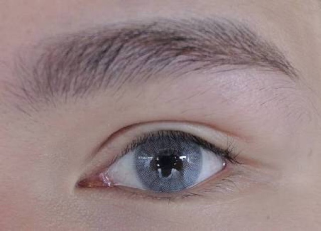 Sweety hidrocor gray brown blue softlens