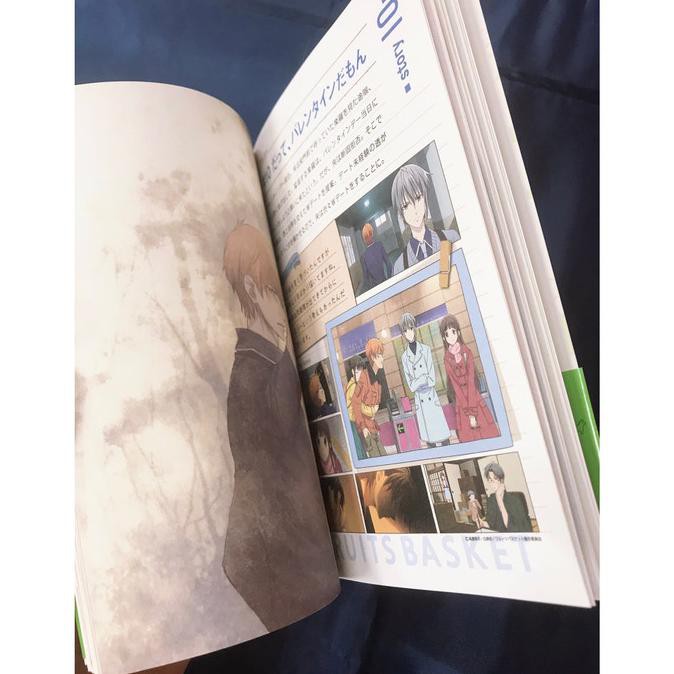 Fruits Basket Artbook - 1St Season Anime Illustration Natsuki Takaya