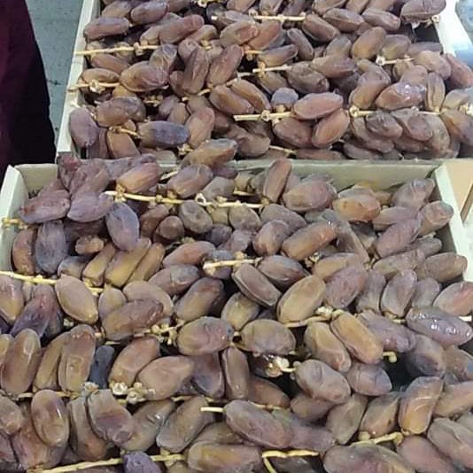 

Kurma Terbaru - Kurma Tangkai Afia' Dates 5Kg Fres Degleg Noor From Algeria