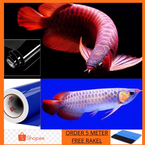 Stiker background aquarium , wallpaper aquarium polos , background aquarium