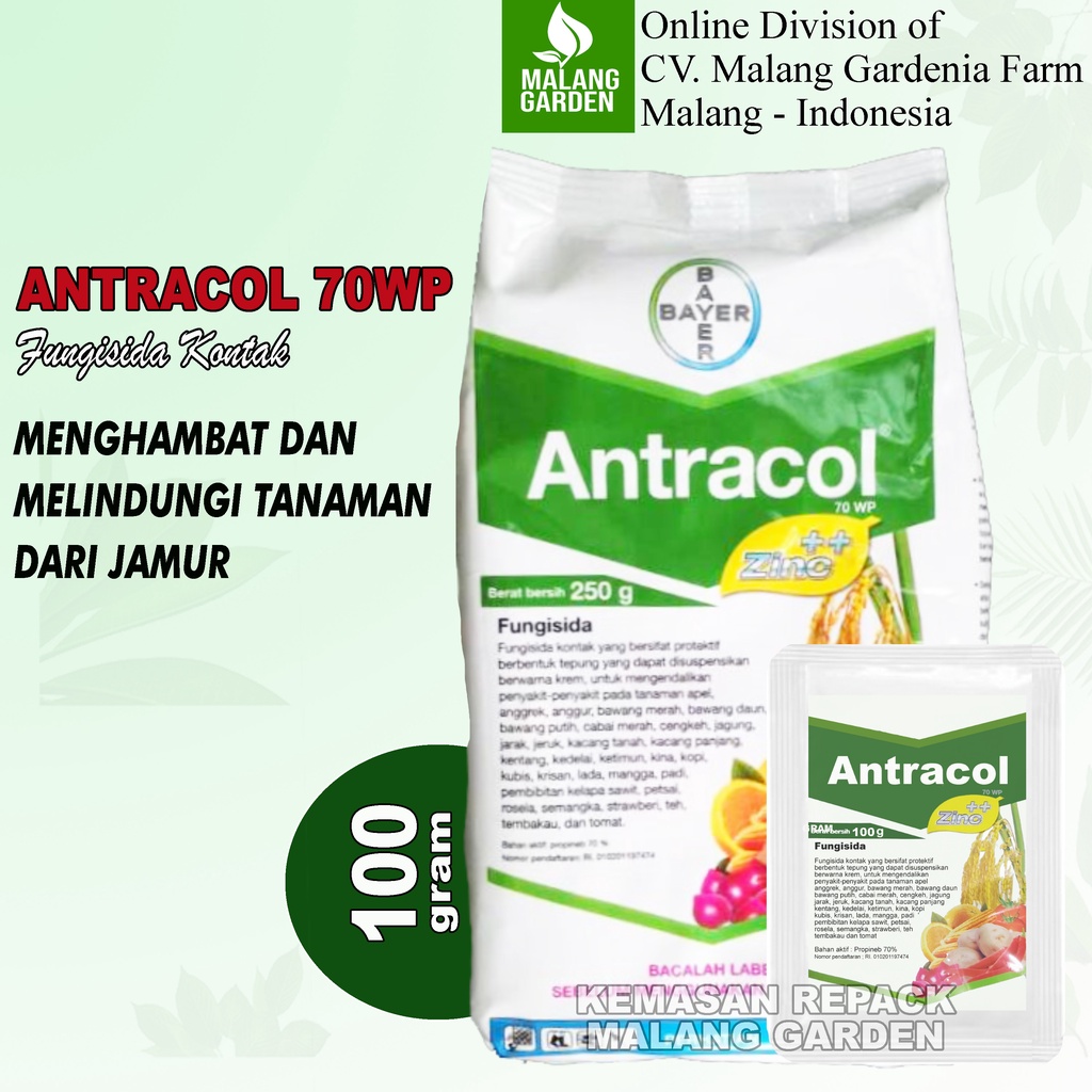 REPACK Fungisida Antracol 100gram | Antracol 70WP 100 gram