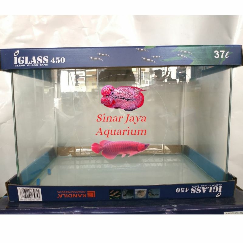 Jual Aquarium Import KANDILA IGlass 10 liter / 16 liter / 23 liter / 37