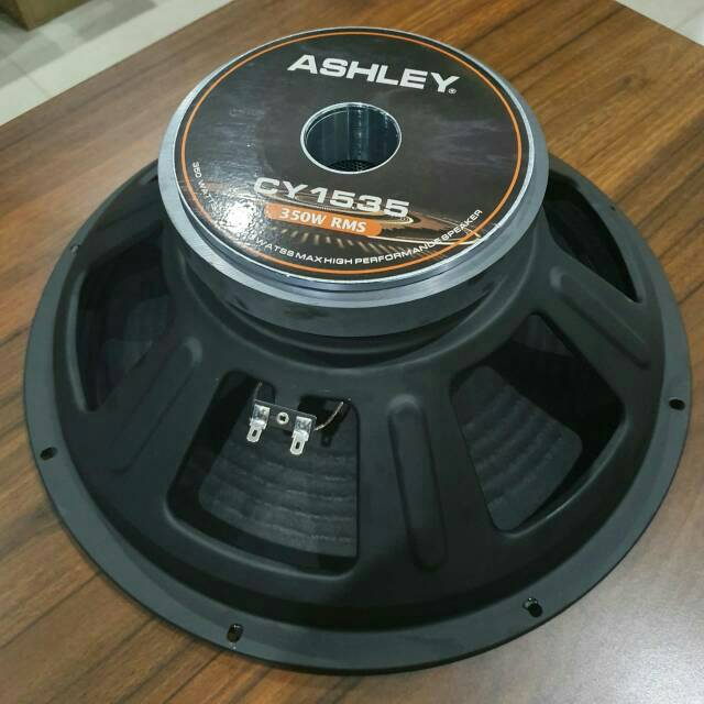 speaker 15 inch mid low