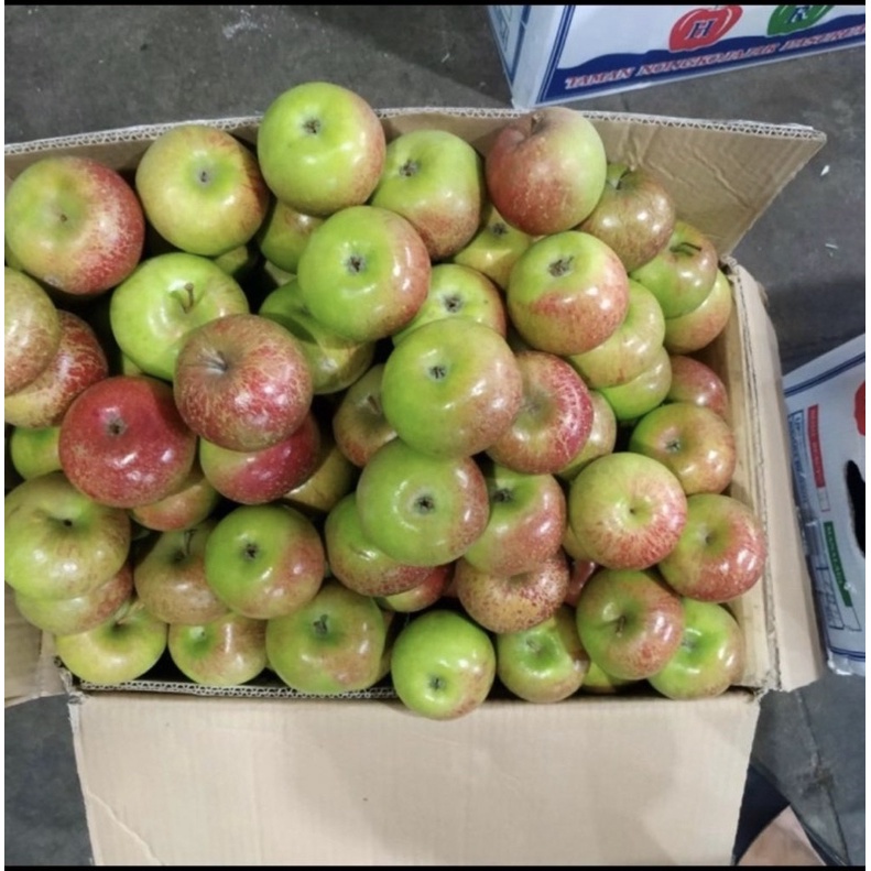 buah apel Malang manis segar 1 kg