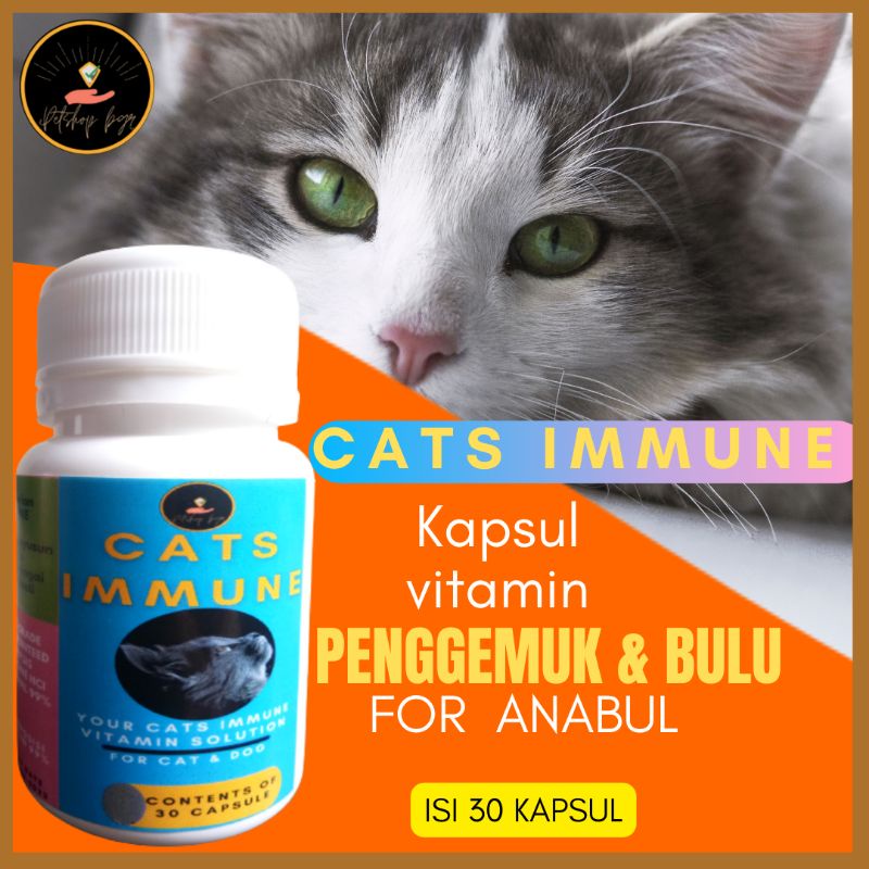 cats immune vitamin kucing gemuk dan bulu rontok lebat nafsu makan daya tahan tubuh 30 kapsul