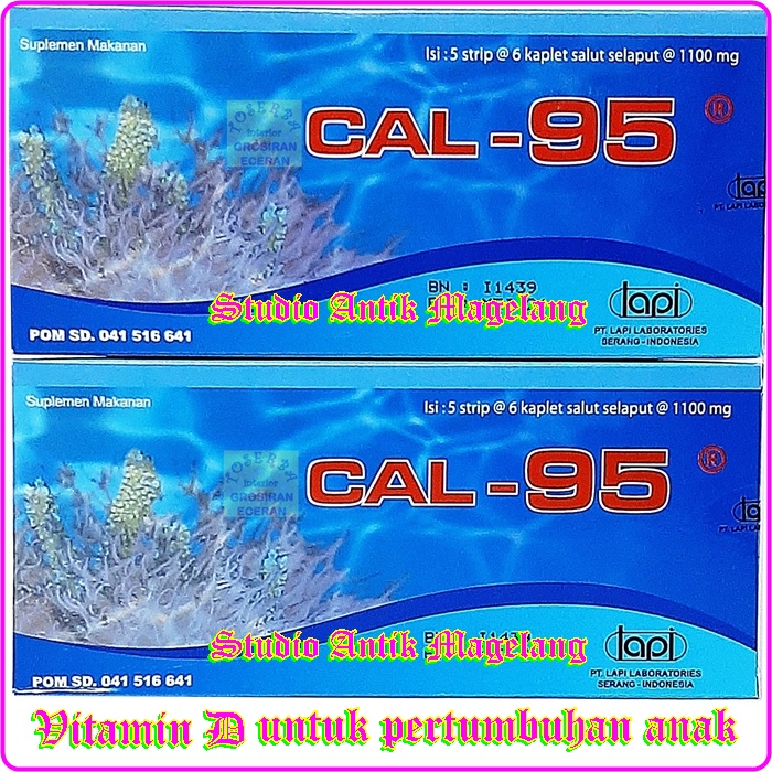 CAL 95 BOX 16616 - CAL-95 - CAL95 - VITAMIN D - GROSIR CAL 95 isi 30