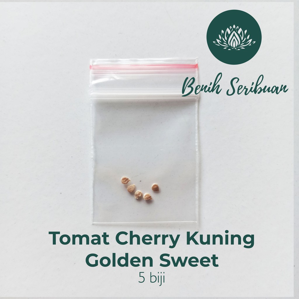 5 Bibit Tomat Cherry Kuning F1 Golden Sweet Beni Sayuran Cerry Ceri Tanaman Hias Sayur Seribuan