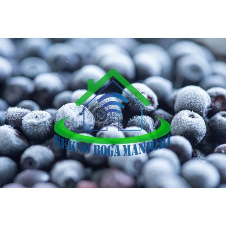 

JUAL BUAH BLUEBERRY FROZEN IMPORT ECERAN 500 GRAM TANGERANG SELATAN