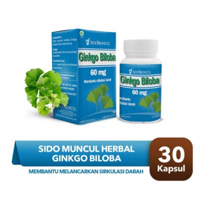 

Sido Muncul Herbal Ginkgo Biloba 30 Kapsul - Daya Ingat Konsentrasi