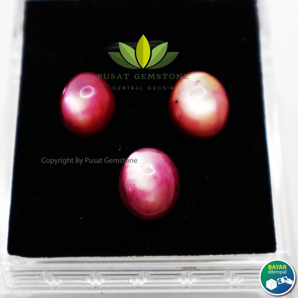 Batu Kerang Merah Delima