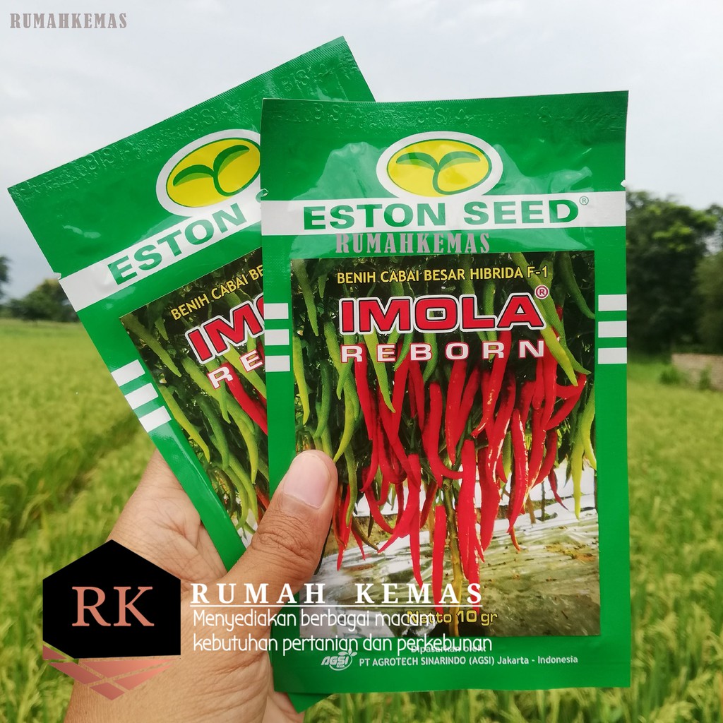 Jual Benih Cabai Besar Hibrida F1 Imola Reborn Cabe Besar Cabai Merah Eston Seed Shopee 