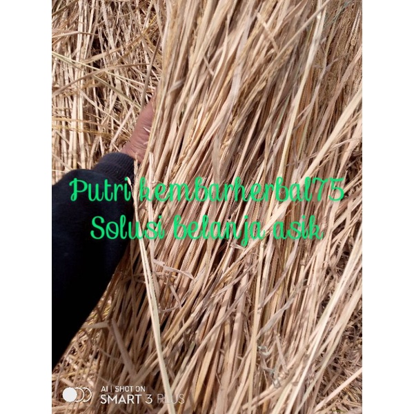 Jerami Padi Kering utuh super per 1kg