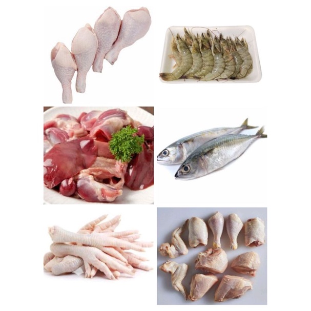 

PO KIRIM BESOK IKAN, AYAM ,UDANG SEGAR