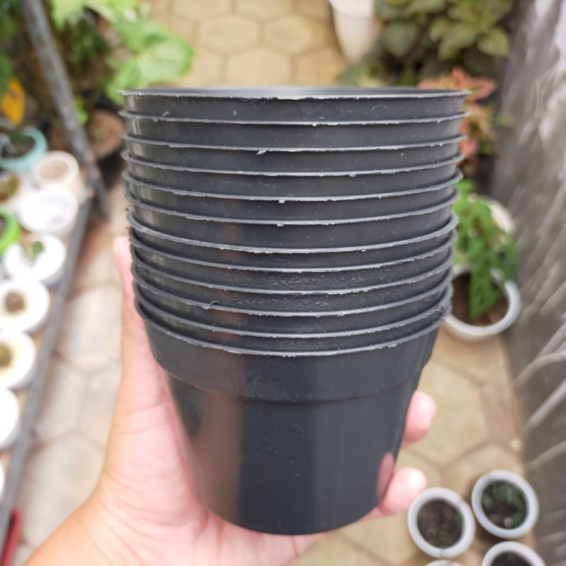 pot hitam dm10cm/pot bunga dm10cm/pot kaktus dm10cm