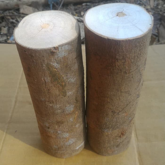 Medium wood log tinggi 15 cm diameter 6-7 cm dekorasi craft diy