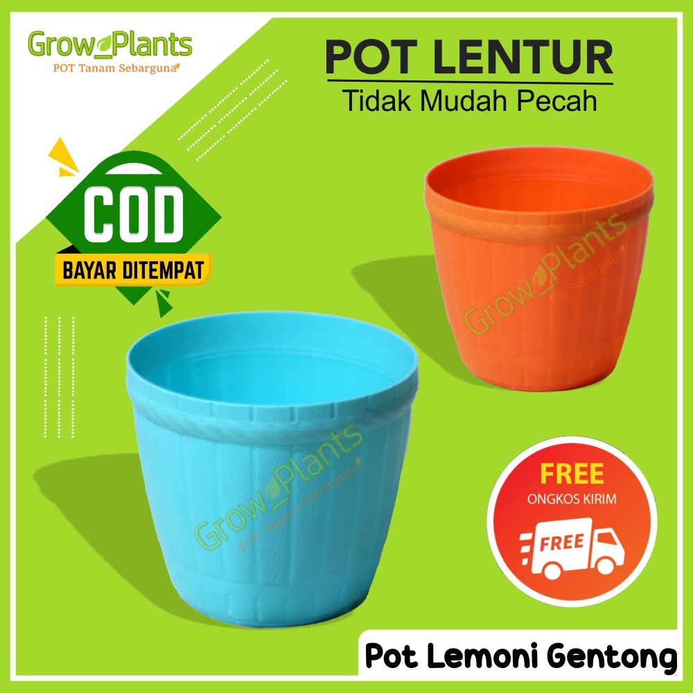 Pot Bunga Murah Pot Gentong LEMONY  1815 Pot Bunga Pot Bunga Plastik Pot Tanaman  Pot Tanaman Air  P