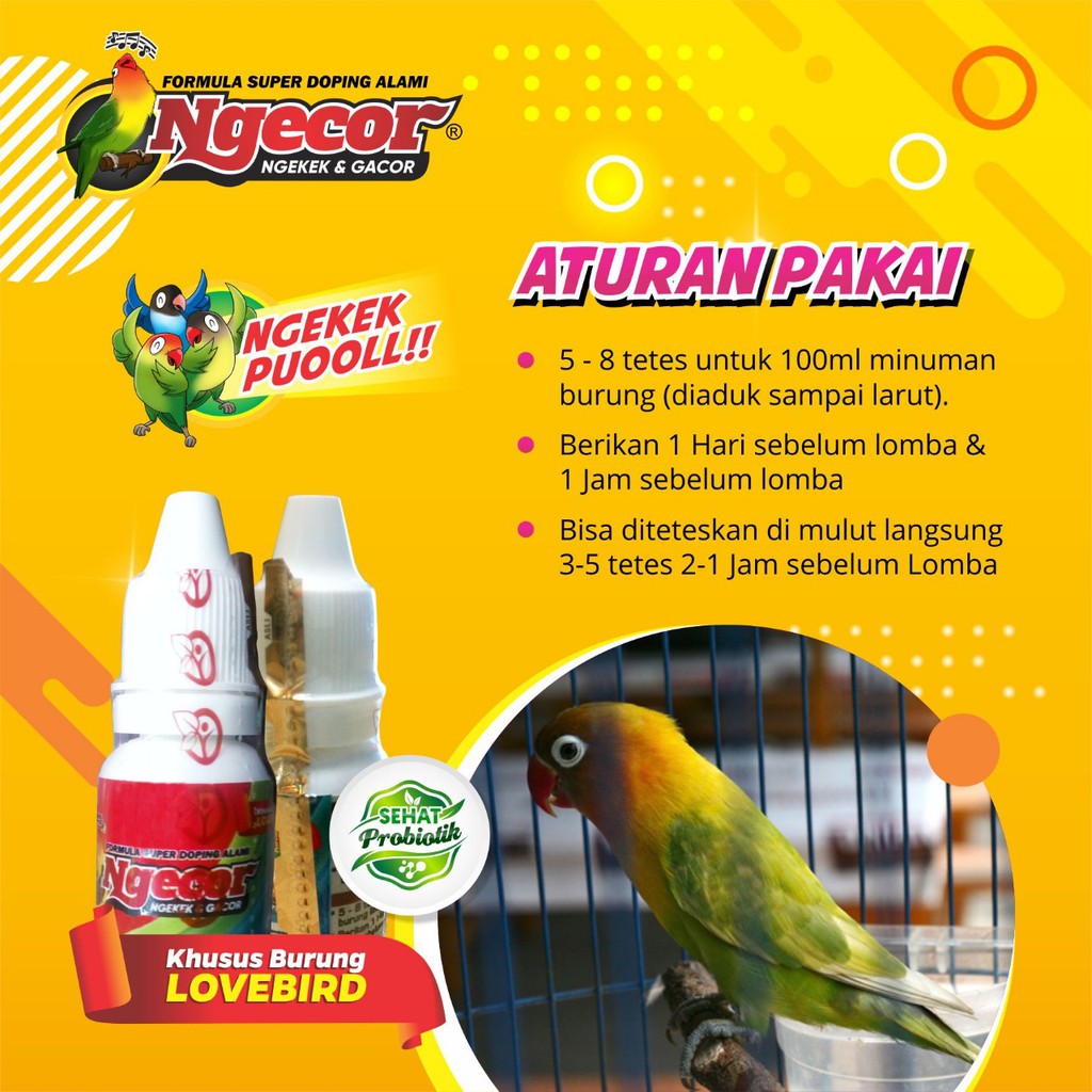 Ngecor Dog Lovebird Alami Probiotik Super Gacor Dan Ngekek Dog Lovebird Indonesia