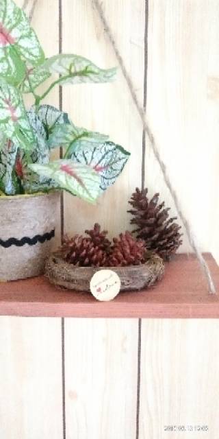 Birdnest Sarang Burung Daun Pinus Dekorasi Rustic mahar cincin 11 cm