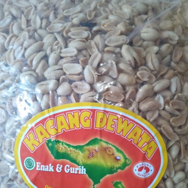 

Kacang Bali”Dewata”