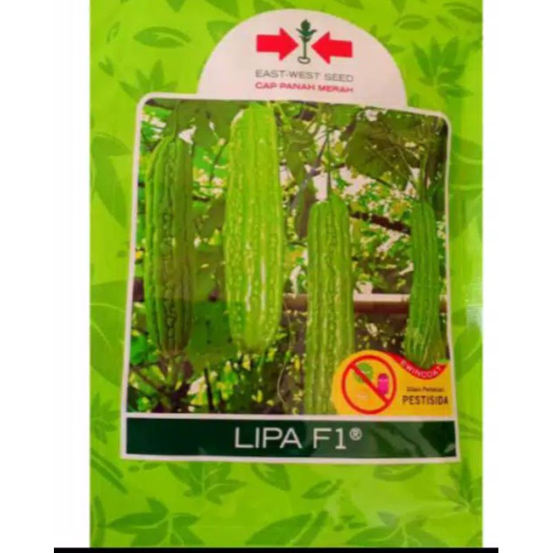 Pare Lipa F1 isi 100 butir