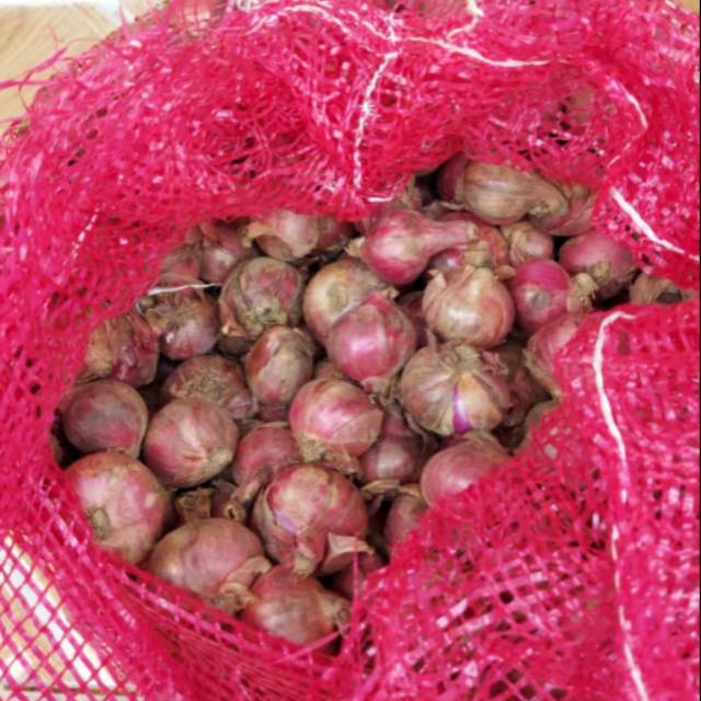 

Bawang merah murah