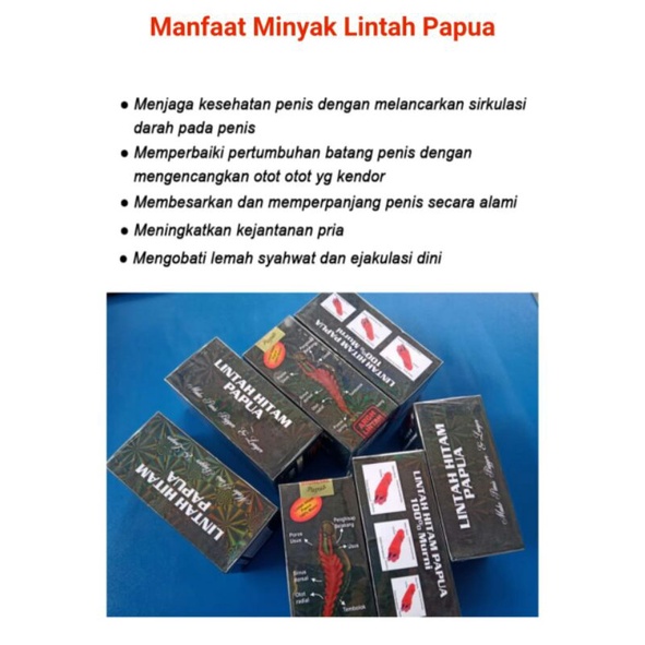 minyak lintah hitam papua asli