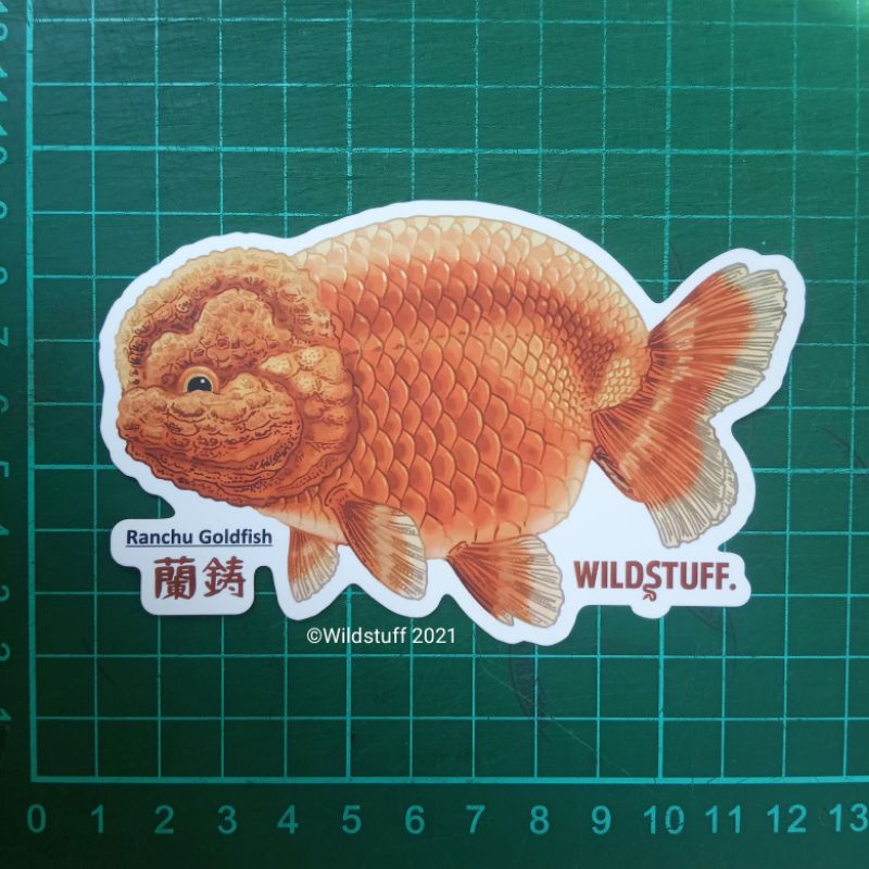 Sticker Wildstuff Maskoki Ranchu Goldfish