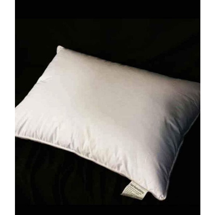 bantal serta/king koil/wf/nomite/dll  bulu angsa/goose down pillow x hotel