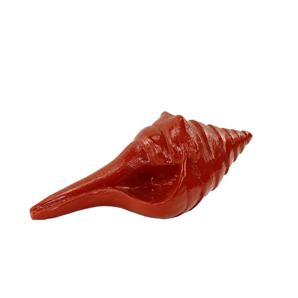 Jual Resin Seashell Long (Resin Kerang Panjang) Shopee Indonesia