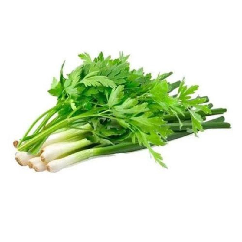 

Daun Bawang Mix Seledri 1 ikat