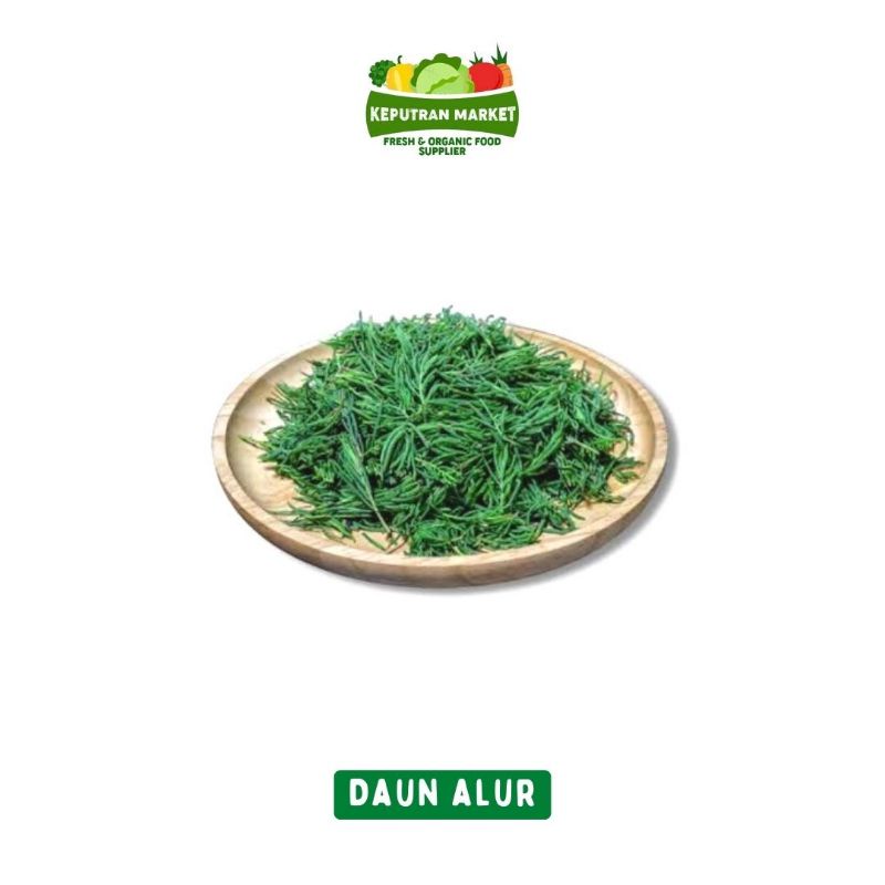 

Daun Alur Per Ikat / Produk Langka