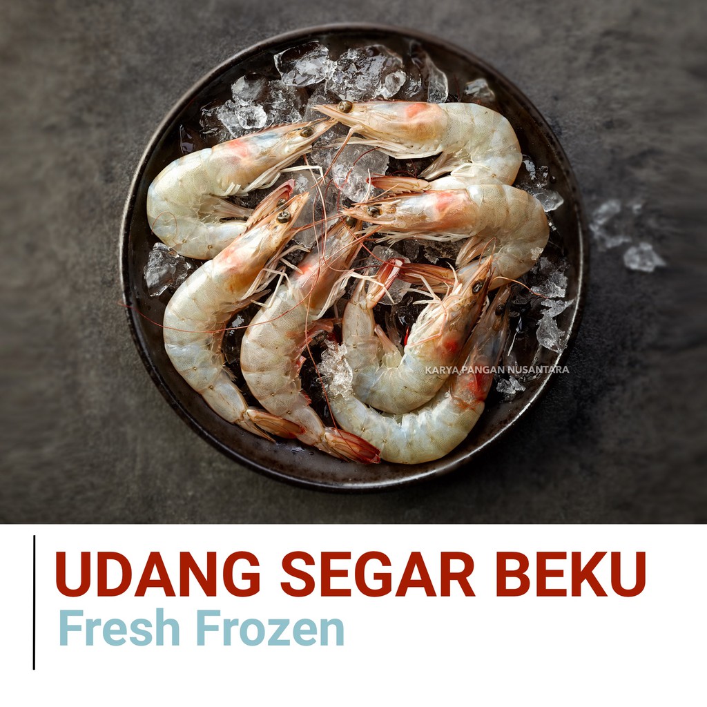 

UDANG SEGAR BEKU FRESH 250 GR UDANG SEGAR FROZEN UDANG SEGAR BESAR UDANG FRESH FROZEN 250 GR