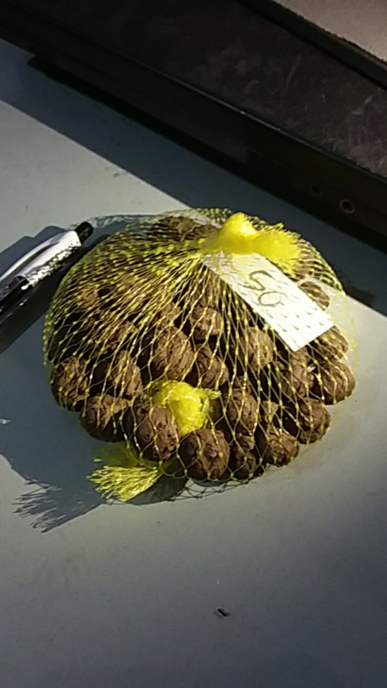 Katak Porang Mini Isi 300-400/kg
