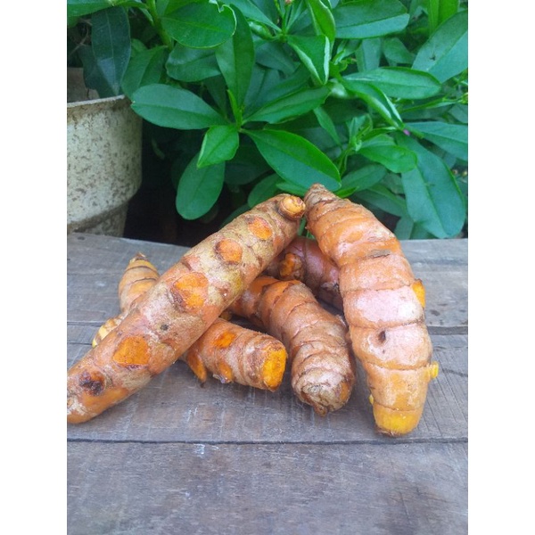 

kunyit kunir FRESH/bersih dicuci/min order 5 kg
