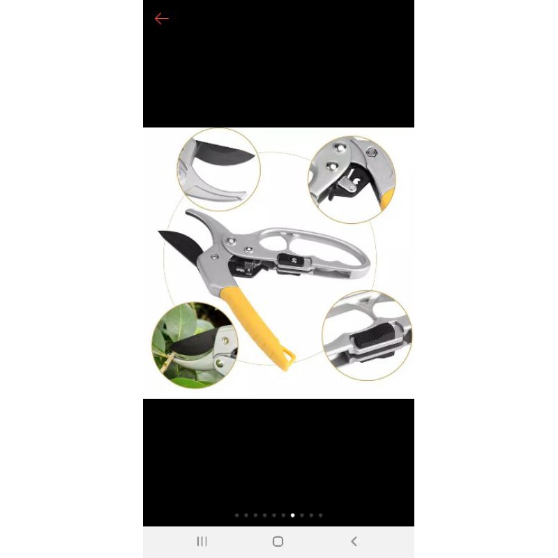 

gunting batang pohon