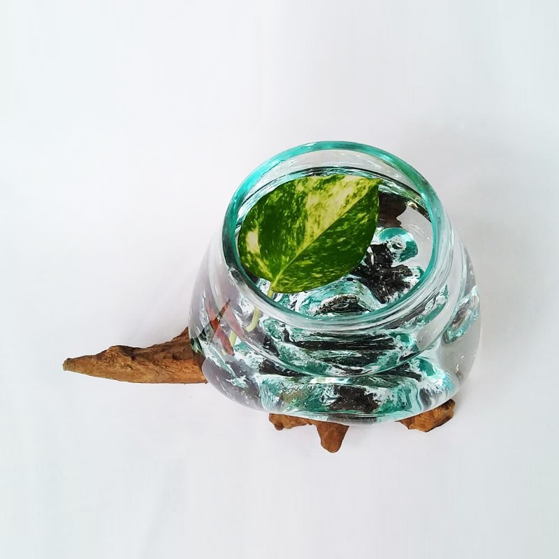 aquarium cupang kaca tiup, tempat permen, pot kaca