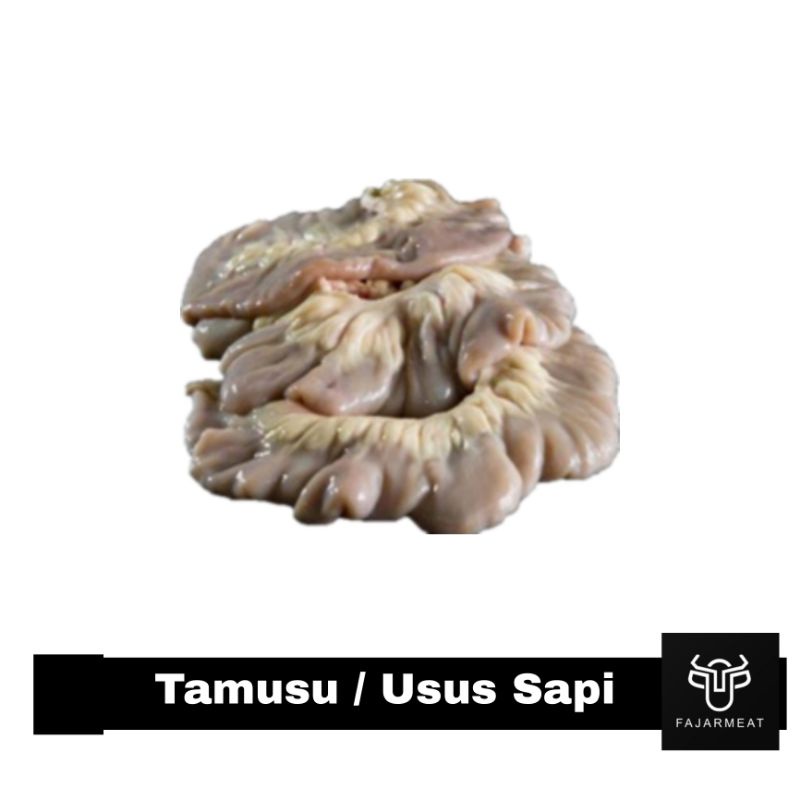 tamusu / usus sapi