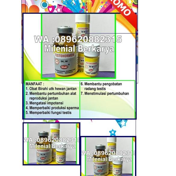 [PROMO HC064] ORGINAL, TESTOHORMON OBAT HEWANTESTOHORMON, TESTOHORMON ASLI, Testohormon Original 5ml