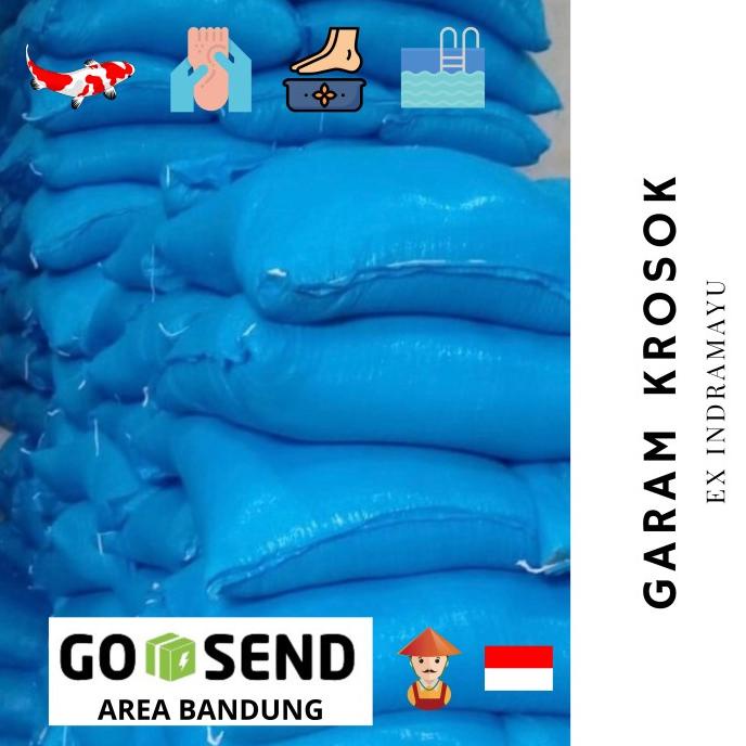 

TERBARU Garam Ikan / Garam Krosok Lokal (50 Kg)