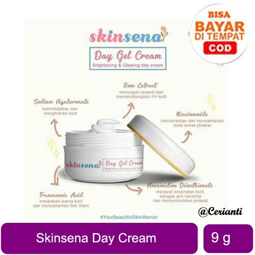 SKINSENA BRIGHTENING GLOWING DAY CREAM 9GR
