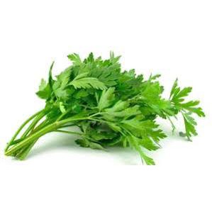 

Daun Seledri - Daun Sop 250 Gram