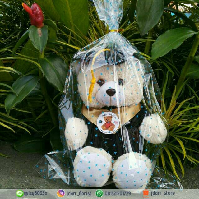 Boneka Wisuda Teddy Bear Murah