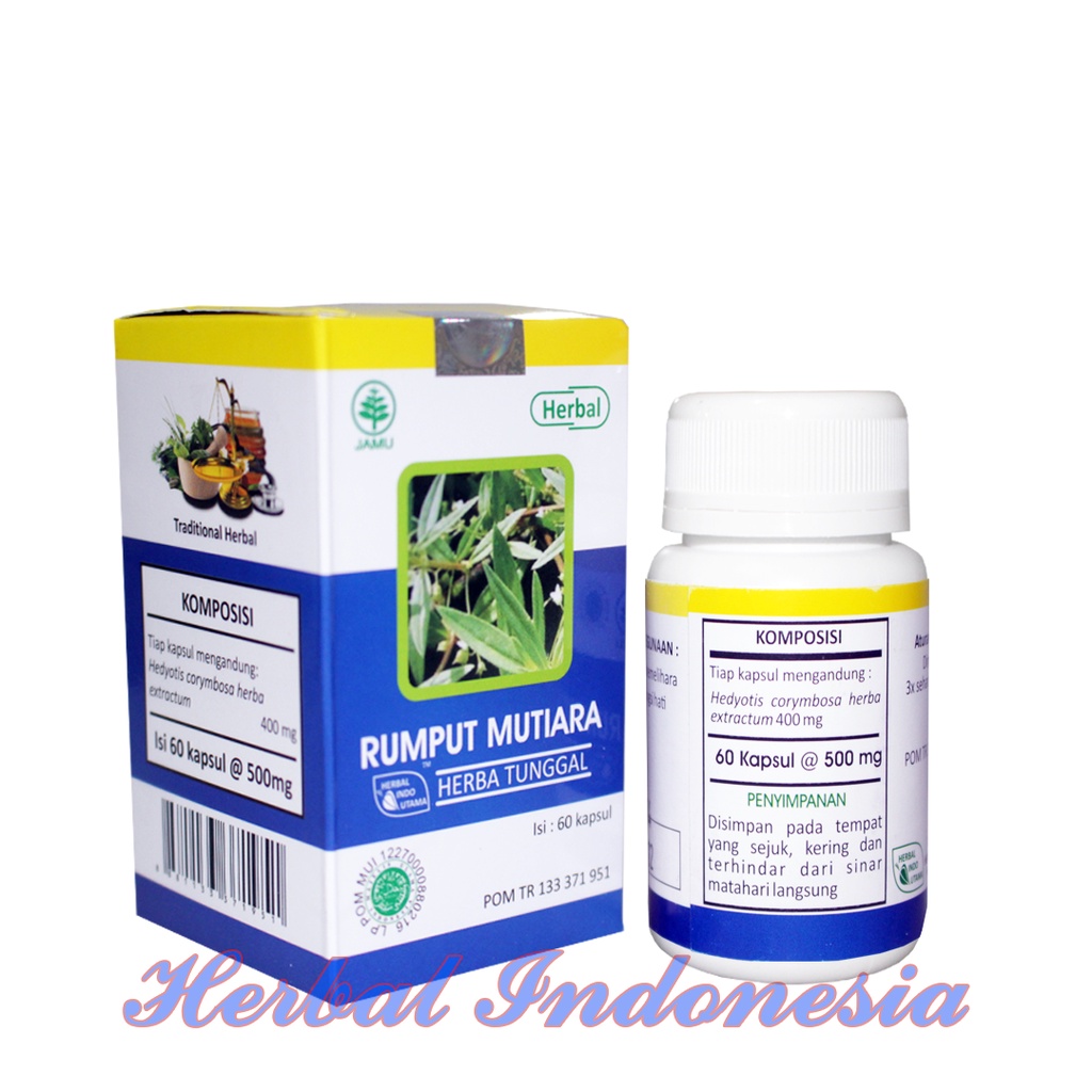 Kapsul Rumput Mutiara Isi 60 - Herbal Penyakit Radang Gondongan, Bisul dan Borok