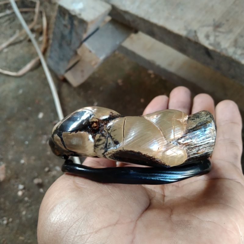 GELANG AKAR BAHAR HITAM BONGGOL UNIK JUMBO