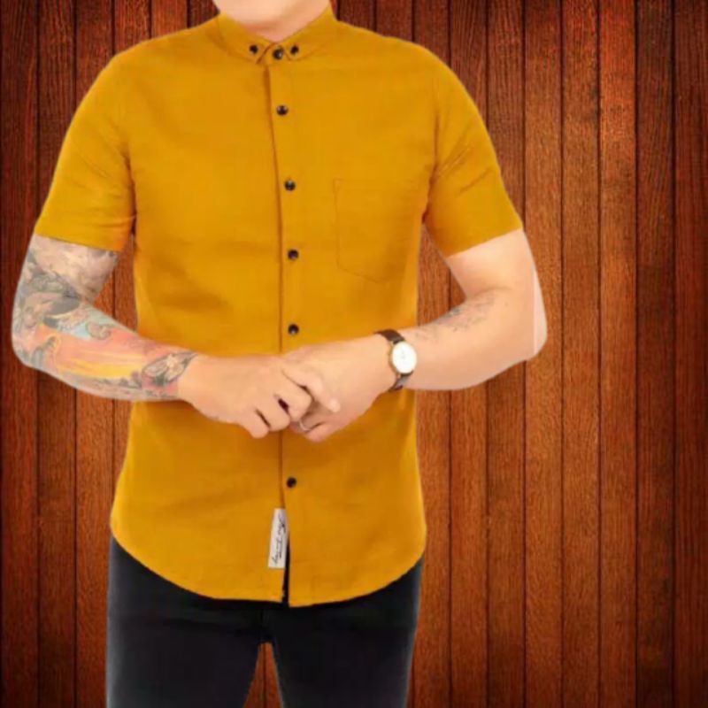 Kemeja Pria Pendek Premium Kemeja polos Kemeja Polos Pria Kemeja Pria Pendek Premium Kemeja polos Kemeja Polos Pria