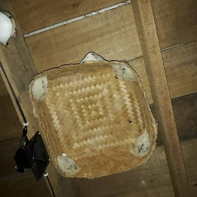 6 pcs besek keranjang bambu bakul walet ukuran 25 x 25cm