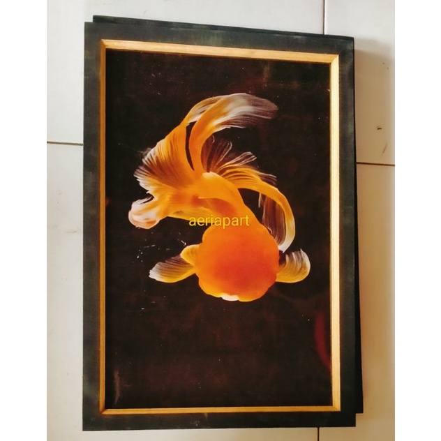hiasan dinding poster ikan koki slayer plus bingkai